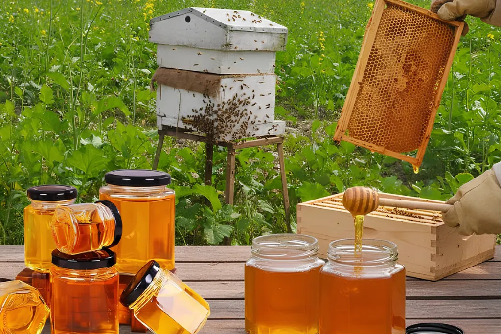 From Fields to Jars: How Honey Manufacturers in India Produce High-Quality Honey